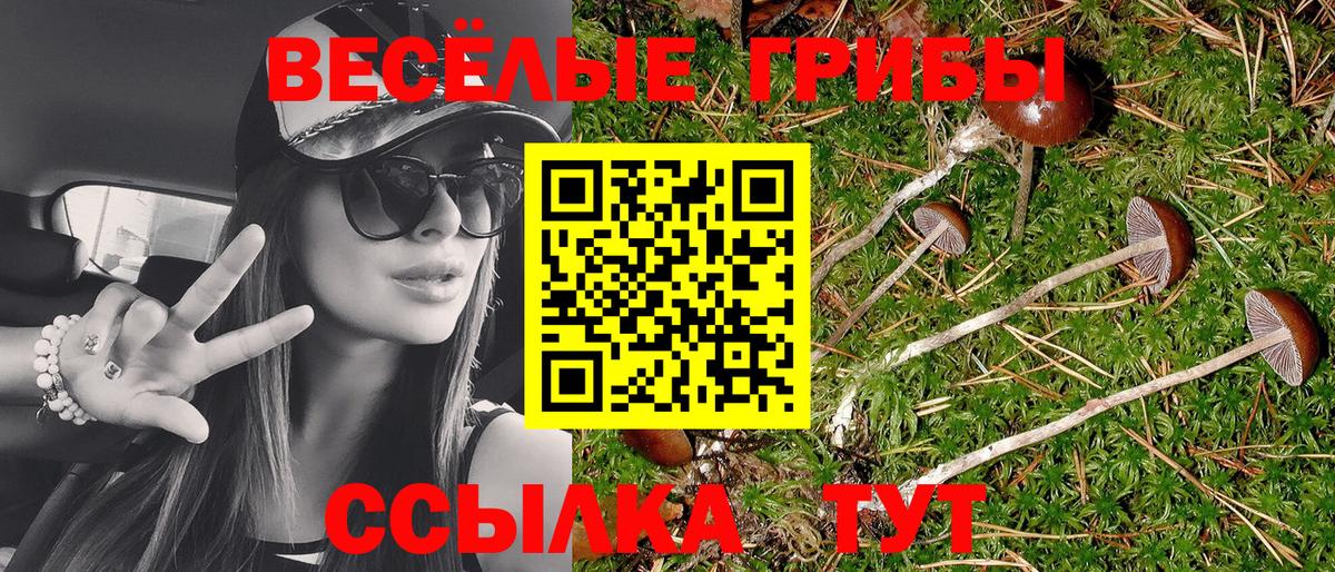 Галлюциногенные грибы GOLDEN TEACHER Вичуга