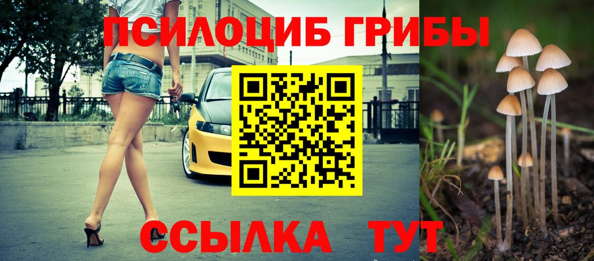 Вичуга  Галлюциногенные грибы мухоморы  Вход с VPN 